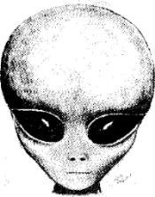  Abductee's Conception 