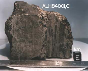 The Mars Rock - ALH 84001