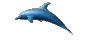  - dolphins - blue n true, free n silly - 